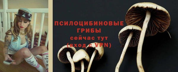 винт Лагань