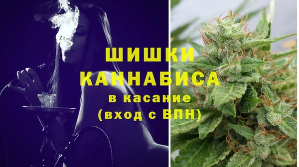 винт Лагань