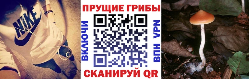 Псилоцибиновые грибы мухоморы  Ногинск 
