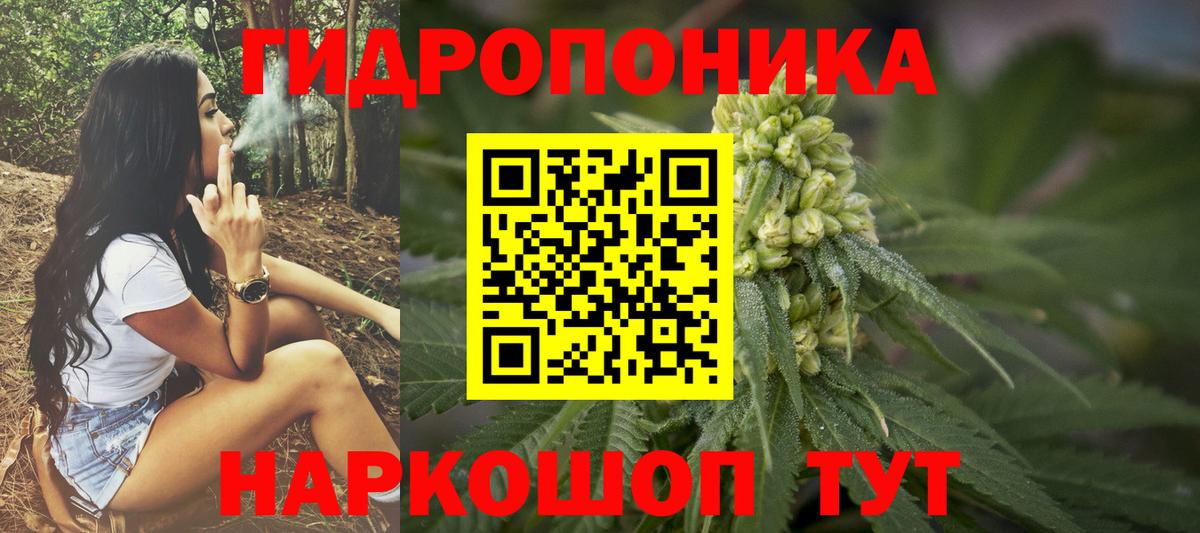 Бошки Шишки ГИДРОПОН Ногинск